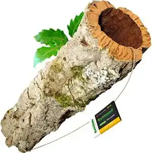 Korkröhre Kork-Deko Korktunnel 40 cm lang