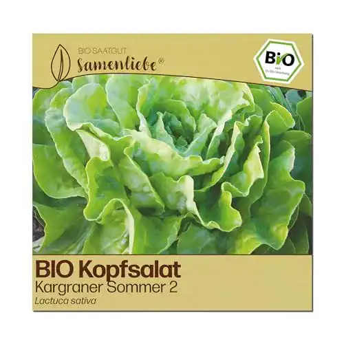 Kopfsalat-Samen Samenliebe BIO Kopfsalat Kargraner Sommer 2