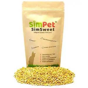 Katzengras simpet Bio Samen ca. 3500 aus Deutschland Süßgras