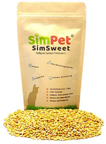 Katzengras simpet Bio Samen ca. 3500 aus Deutschland Süßgras