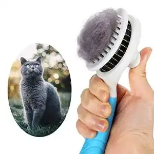 Katzenbürste itPlus, Katzenbürste, selbstreinigend, Zupfbürste