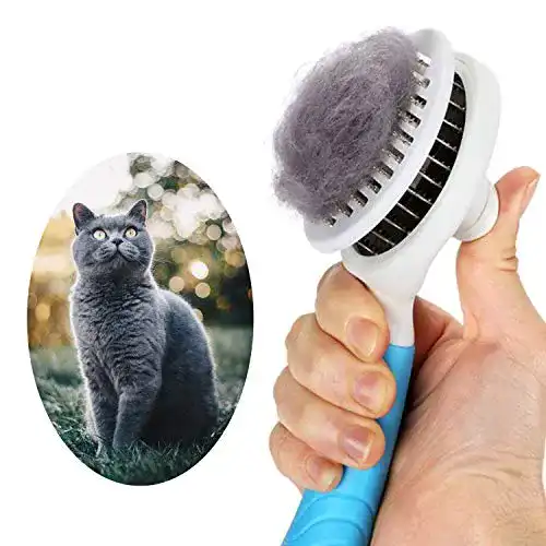 Katzenbürste itPlus, Katzenbürste, selbstreinigend, Zupfbürste