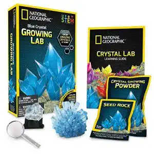 Kristalle züchten BANDAI NGBCRYSTAL JM00670 Blue Crystal