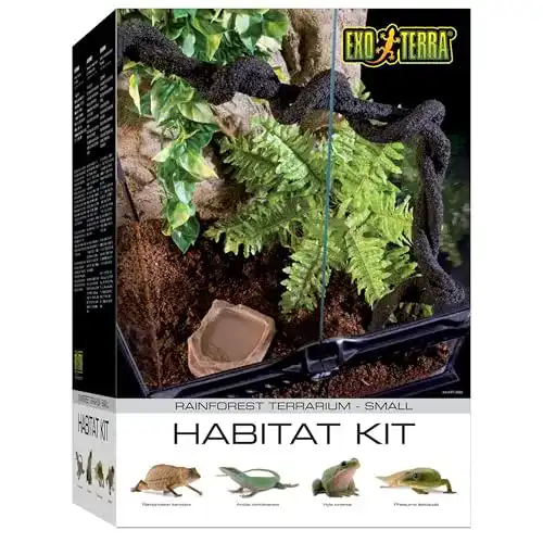 Terrarium Exo Terra Rainforest Habitat Kit, Terrarien Starter Set