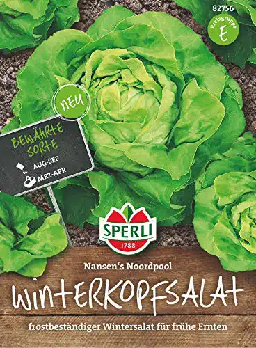 Kopfsalat-Samen Sperli Winter-Butterkopfsalat, frostbeständig