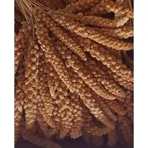 Kolbenhirse Eurital 5 kg rot, für Vögel und Hühner