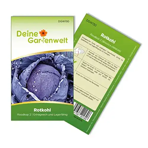 Kohl-Samen Deine Gartenwelt Rotkohl Roodkop 2 Samen