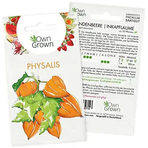 Physalis-Samen OwnGrown Physalis Samen, für ca. 30 Pflanzen