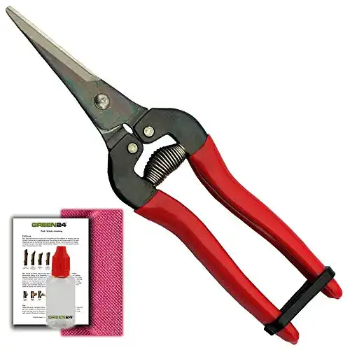Ernteschere GREEN24 Beliebte – Gartenschere Profi-Set 300L