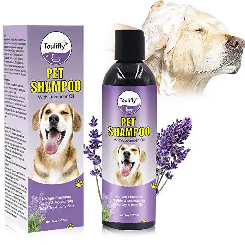 Hundeshampoo Toulifly, mit Rückfettern, Glanz & Kämmbarkeit