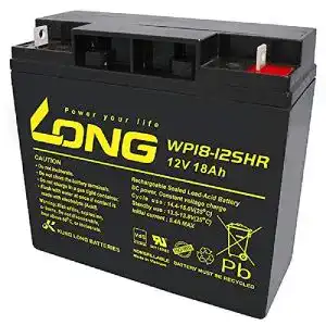 Rasentraktor-Batterie WSB Akku 18Ah 12V AGM Blei Batterie