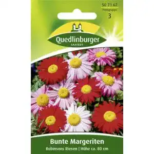 Margeritensamen Quedlinburger Bunte Margerite, Robinsons Riesen