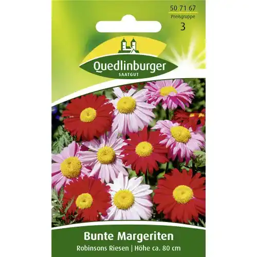 Chrysanthemen-Samen Quedlinburger Bunt, Robinsons Riesen