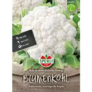 Blumenkohl-Samen Sperli 80993 Premium Bola de Neve