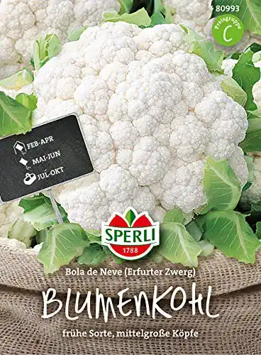 Blumenkohl-Samen Sperli 80993 Premium Bola de Neve