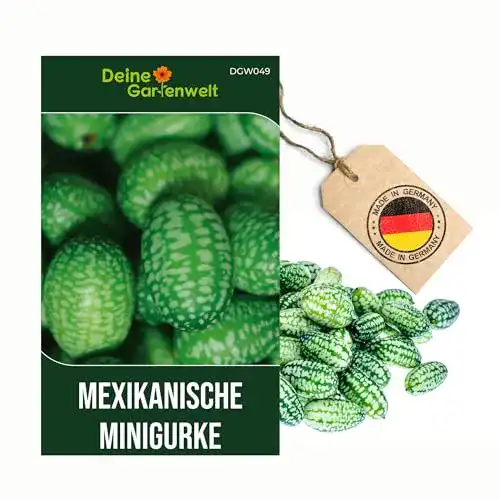 Gurken-Samen Deine Gartenwelt Mexikanische Minigurke Samen