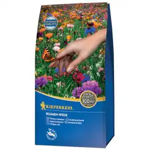 Blumenwiese-Samen Kiepenkerl Rasensamen – Blumen-Wiese 1 kg