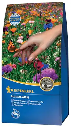 Blumenwiese-Samen Kiepenkerl Rasensamen – Blumen-Wiese 1 kg