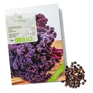 Grünkohl-Samen growgreens BIO Grünkohl Samen Redbor