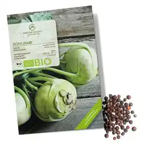 Kohlrabi-Samen growgreens BIO Kohlrabi Samen, 20 Korn