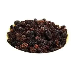 Erlenzapfen El Natural – Produkte aus der Natur 100 Stück – Alnus