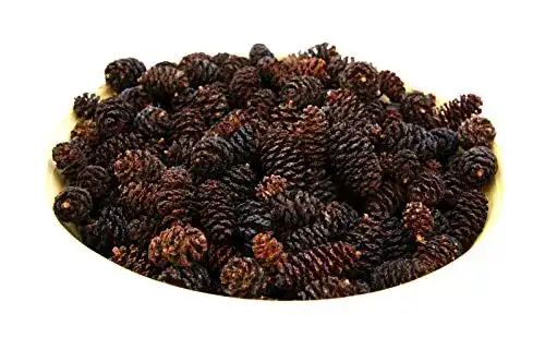 Erlenzapfen El Natural – Produkte aus der Natur 100 Stück – Alnus