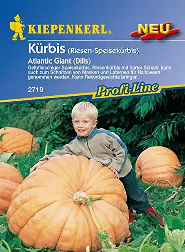 Kürbis-Samen Kiepenkerl, Kürbis Atlantic Giant