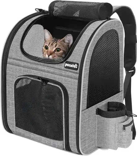 Die beste Katzenrucksack pecute Haustier Rucksack mit Netzfenster 2026 Test Bestseller Katzenrucksack pecute Haustier Rucksack mit Netzfenster