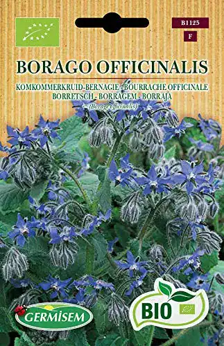 Borretsch-Samen Germisem Borretsch BORAGO OFFICINALIS