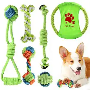 Welpenspielzeug ACE2ACE Hundespielzeug Seil, Set, 6-teilig