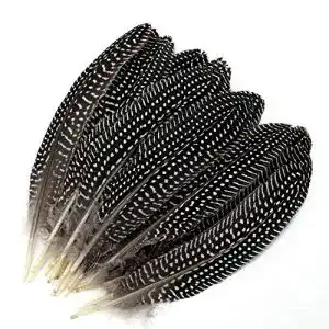Fasanenfedern MWOOT 20 stück Natur Dekoration fasan Federn, 15-20 cm