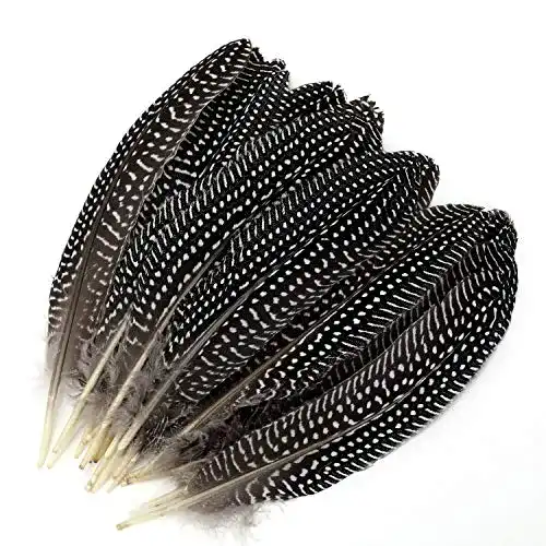 Fasanenfedern MWOOT 20 stück Natur Dekoration fasan Federn, 15-20 cm