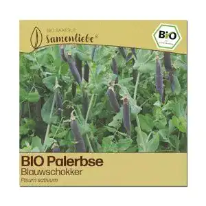 Erbsen-Samen Samenliebe BIO Palerbsen alte Sorte Blauwschokker