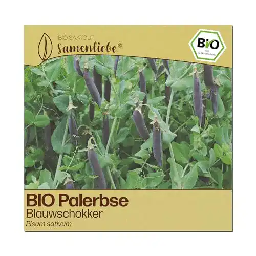 Erbsen-Samen Samenliebe BIO Palerbsen alte Sorte Blauwschokker