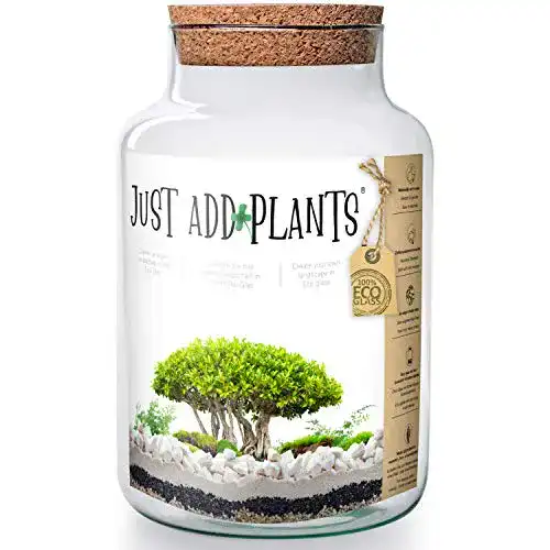 Pflanzen-Terrarium Annastore XXL Pflanzenterrarium