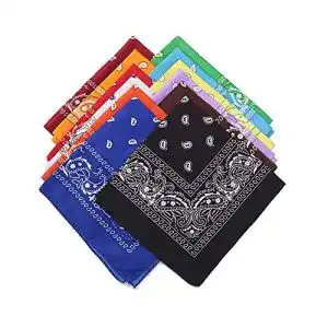 Bandana THETAG Kopftuch, 12 Stück Paisley Halstuch