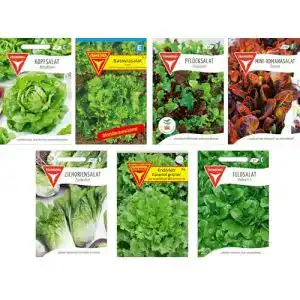 Salat-Samen Frankonia, Samen, 7 Salatsorten