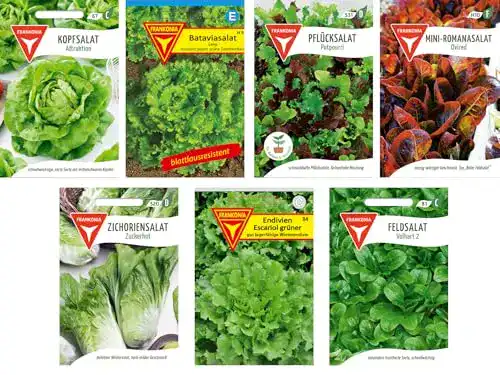 Salat-Samen Frankonia, Samen, 7 Salatsorten