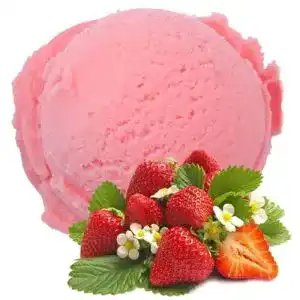 Eispulver Gino Gelati Erdbeer Geschmack 1 Kg für Speiseeis