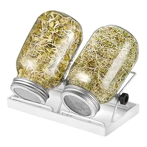 Sprossengläser ecooe Sprossen Keimglas 2er Set mit Wasserschale