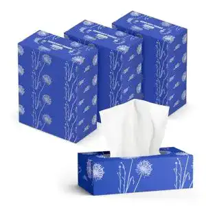 Kosmetiktücher Presto! Amazon-Marke: 3-lagig, 12er Pack