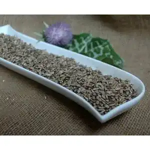 Mariendistelsamen Naturix24, ganz, 1 Kg Beutel