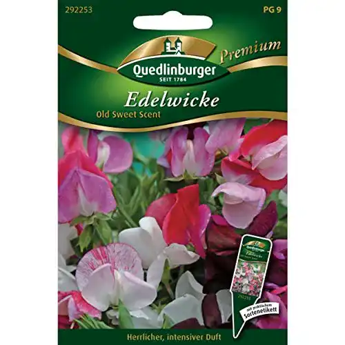 Duftwicken-Samen Quedlinburger Edelwicken, Old Sweet Scent