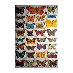 Glanzbilder Glanzbilder Schmetterling EF 7336 Oblate Posiebilder