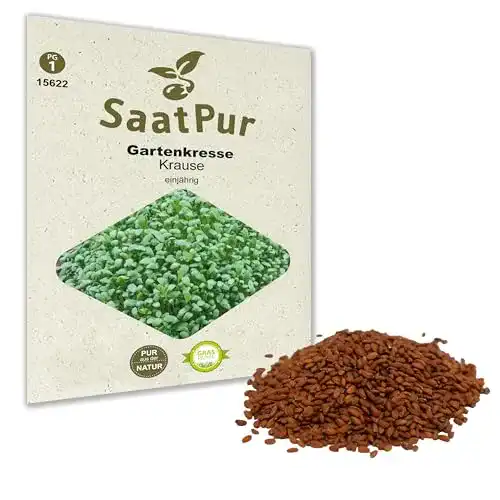 Kressesamen SaatPur, Saatgut für ca. 2500 Pflanzen