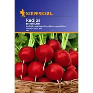 Radieschen-Samen Kiepenkerl, Radies Riesenbutter