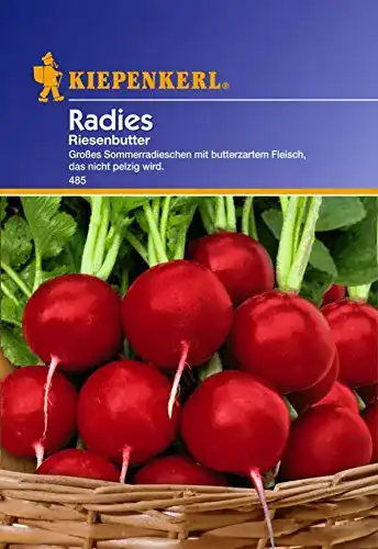 Radieschen-Samen Kiepenkerl, Radies Riesenbutter