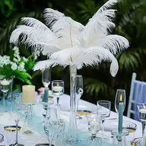 Straußenfeder NUPTIO 20 Stücke Natürliche 30-35cm Plume