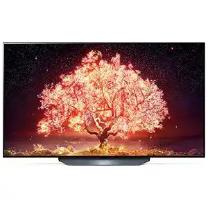 55-Zoll-Fernseher LG Electronics LG OLED55B19LA TV, OLED