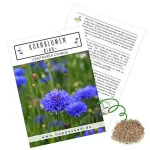 Kornblumen-Samen HappySeed Kornblumen Samen, 1000 Korn